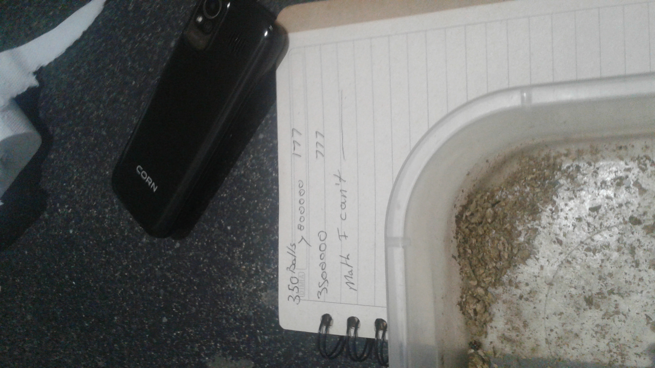 Phone and weed in my cell