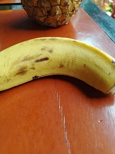 @6/11/2026, 11:17:50 AM