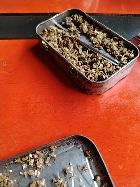 @6/11/2026, 3:12:37 PM
