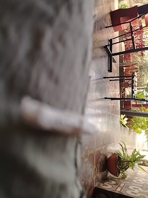 @6/12/2026, 9:44:47 AM