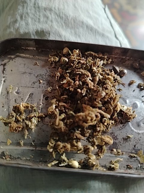 @6/13/2026, 10:25:25 AM