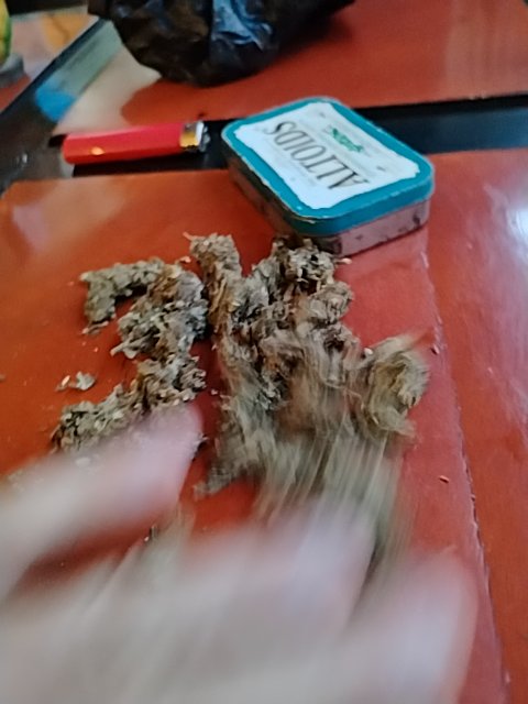 @6/13/2026, 7:15:56 PM