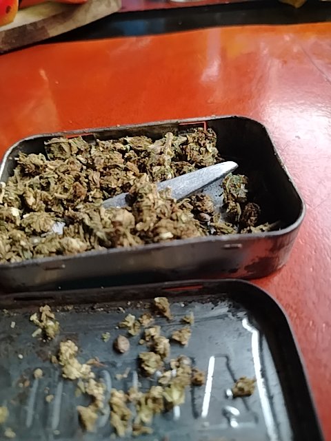 @6/15/2026, 7:39:13 AM