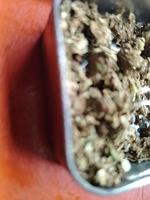 @6/16/2026, 1:30:09 PM
