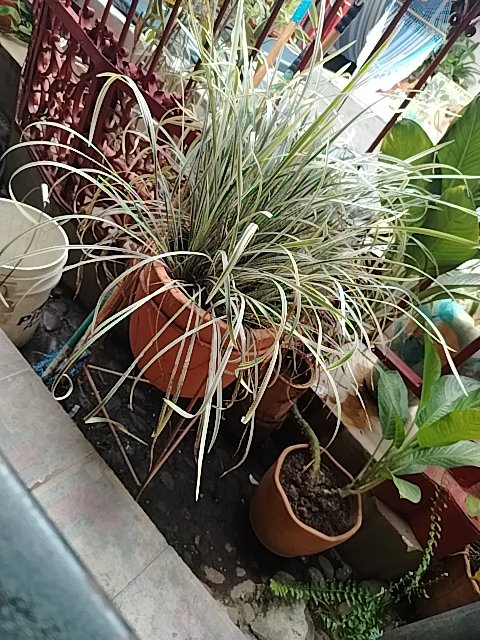 @6/16/2026, 1:44:17 PM - 3ra Calle Nor Este