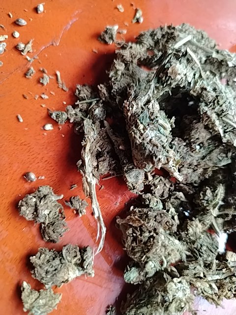 @6/17/2026, 3:10:08 PM