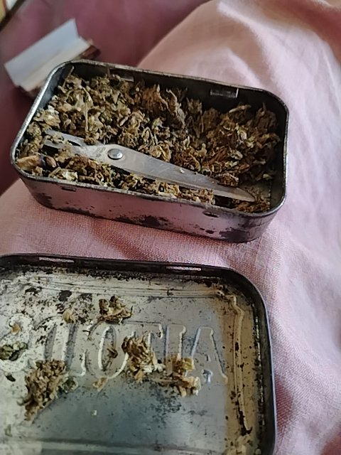 @6/18/2026, 11:38:06 AM - 3ra Calle Nor Este