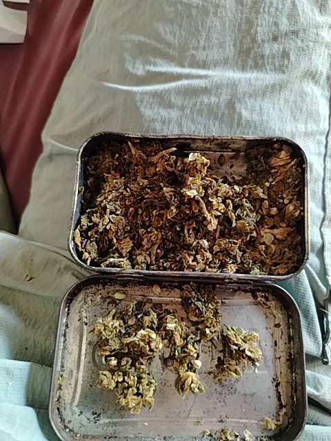@6/18/2026, 3:17:39 PM