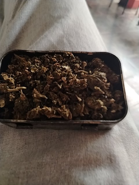 @6/20/2026, 4:15:04 PM