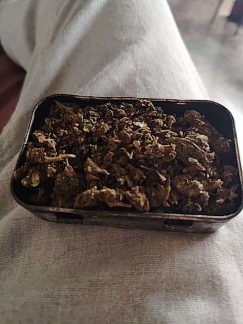 @6/20/2026, 4:15:16 PM