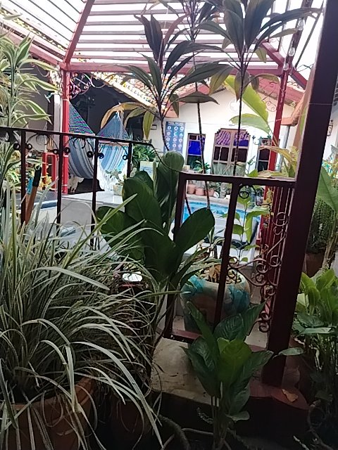 @6/21/2026, 7:38:06 AM - 3ra Calle Nor Este