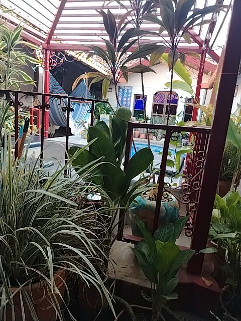 @6/21/2026, 7:38:06 AM - 3ra Calle Nor Este