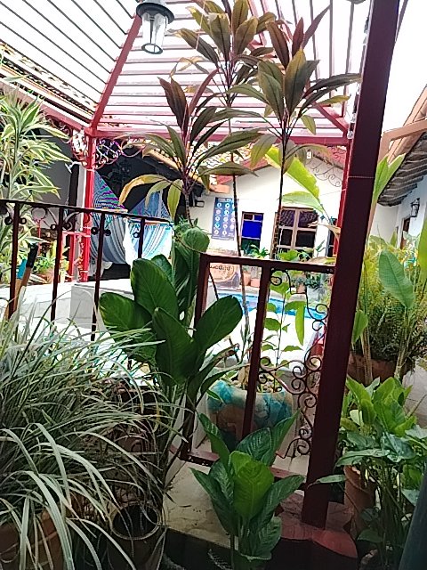@6/22/2026, 8:50:51 AM - 3ra Calle Nor Este