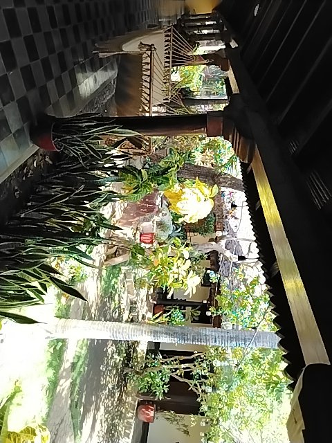 @6/26/2026, 2:02:21 PM - 2da Avenida Nor Este