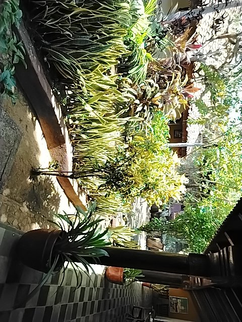@6/26/2026, 2:09:56 PM - 2da Avenida Nor Este