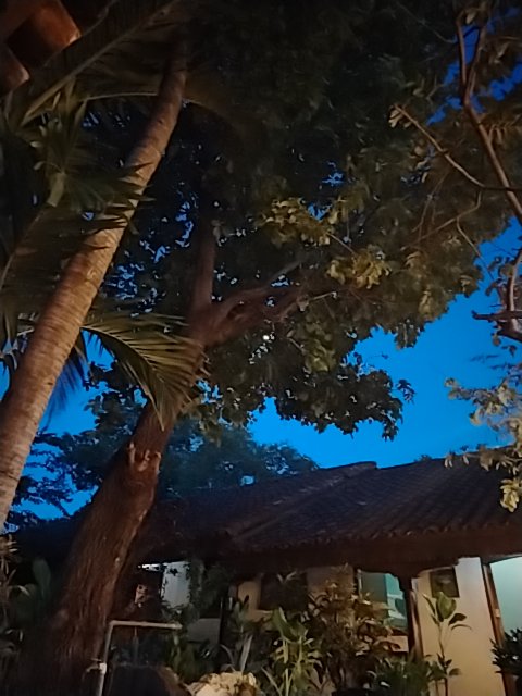 @6/26/2026, 7:40:51 PM - 12.43681, -86.87526
