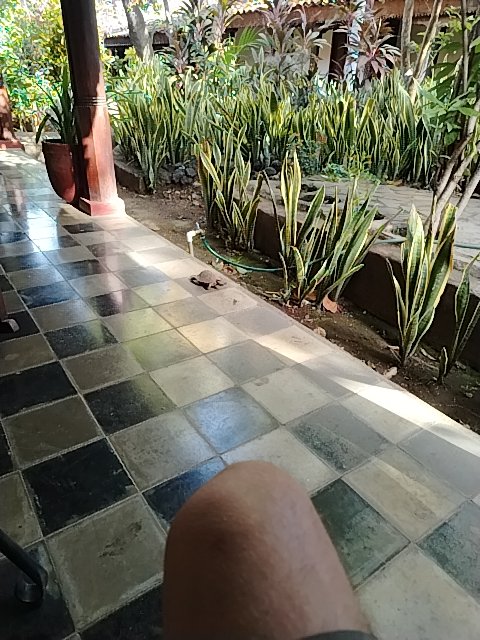 @6/27/2026, 8:42:32 AM - 2da Avenida Nor Este
