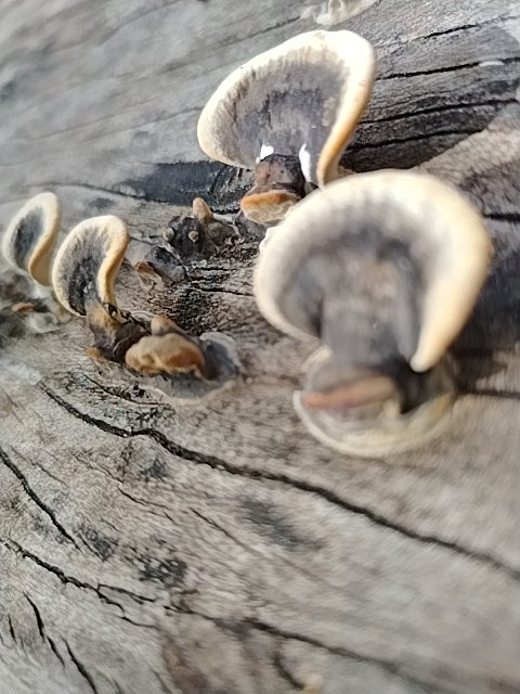 @6/27/2026, 9:27:46 AM - 12.43686, -86.87520
