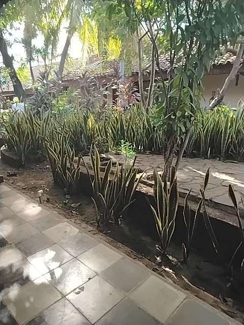 @6/27/2026, 4:38:22 PM - 12.43685, -86.87532