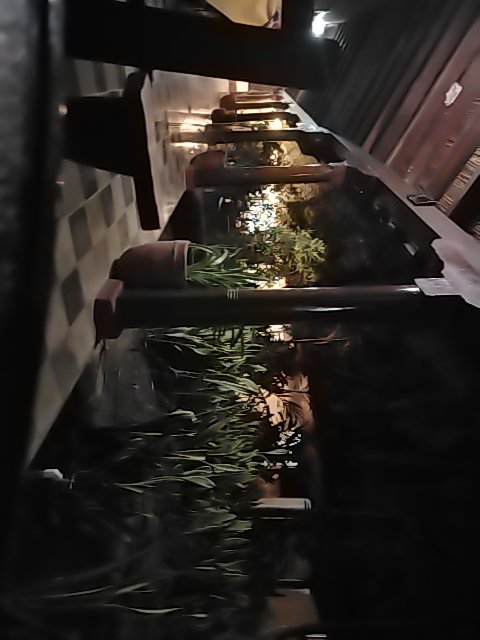 @6/27/2026, 8:17:13 PM - 2da Avenida Nor Este