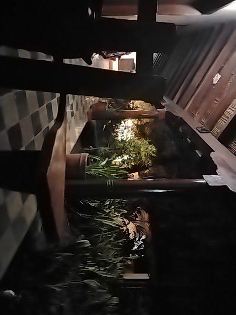 @6/27/2026, 8:18:13 PM - 2da Avenida Nor Este