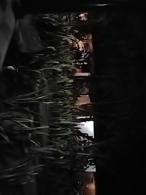 @6/27/2026, 8:18:24 PM - 2da Avenida Nor Este