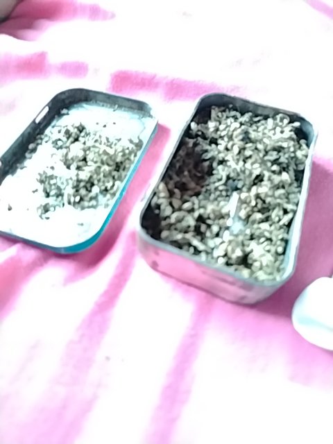 @6/29/2026, 7:00:29 AM