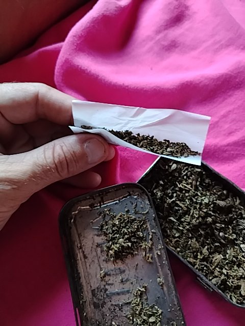 @6/29/2026, 7:16:57 AM
