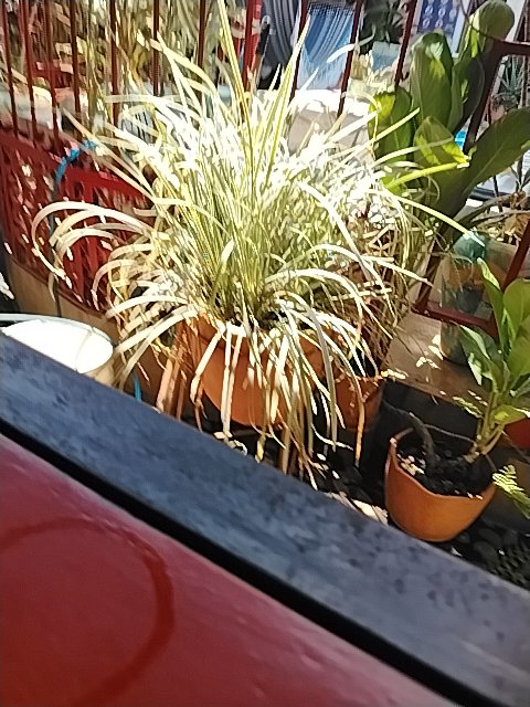 @6/30/2026, 12:16:37 PM - Este
