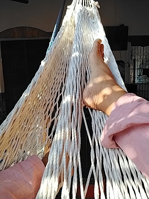 @5/30/2026, 7:18:39 AM