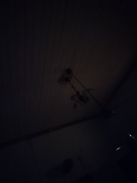 @5/31/2026, 8:27:19 PM