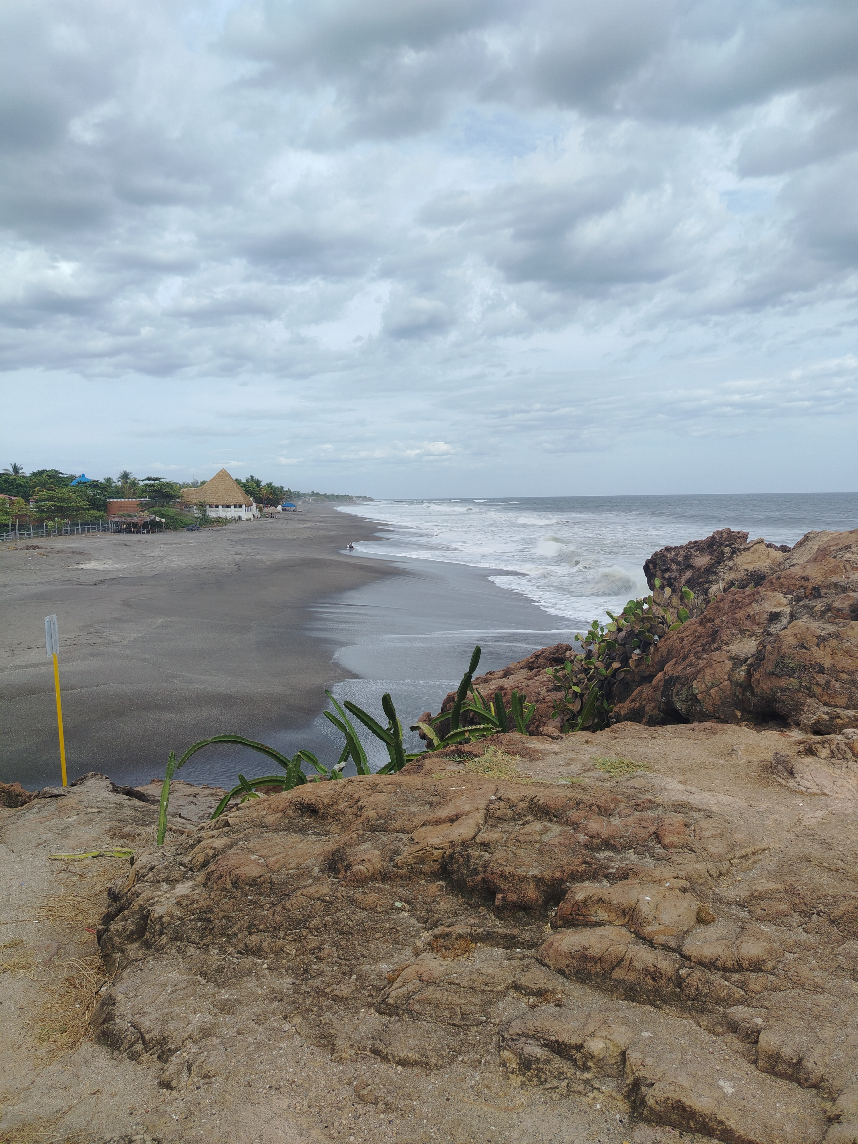 Weed beach California 5165
