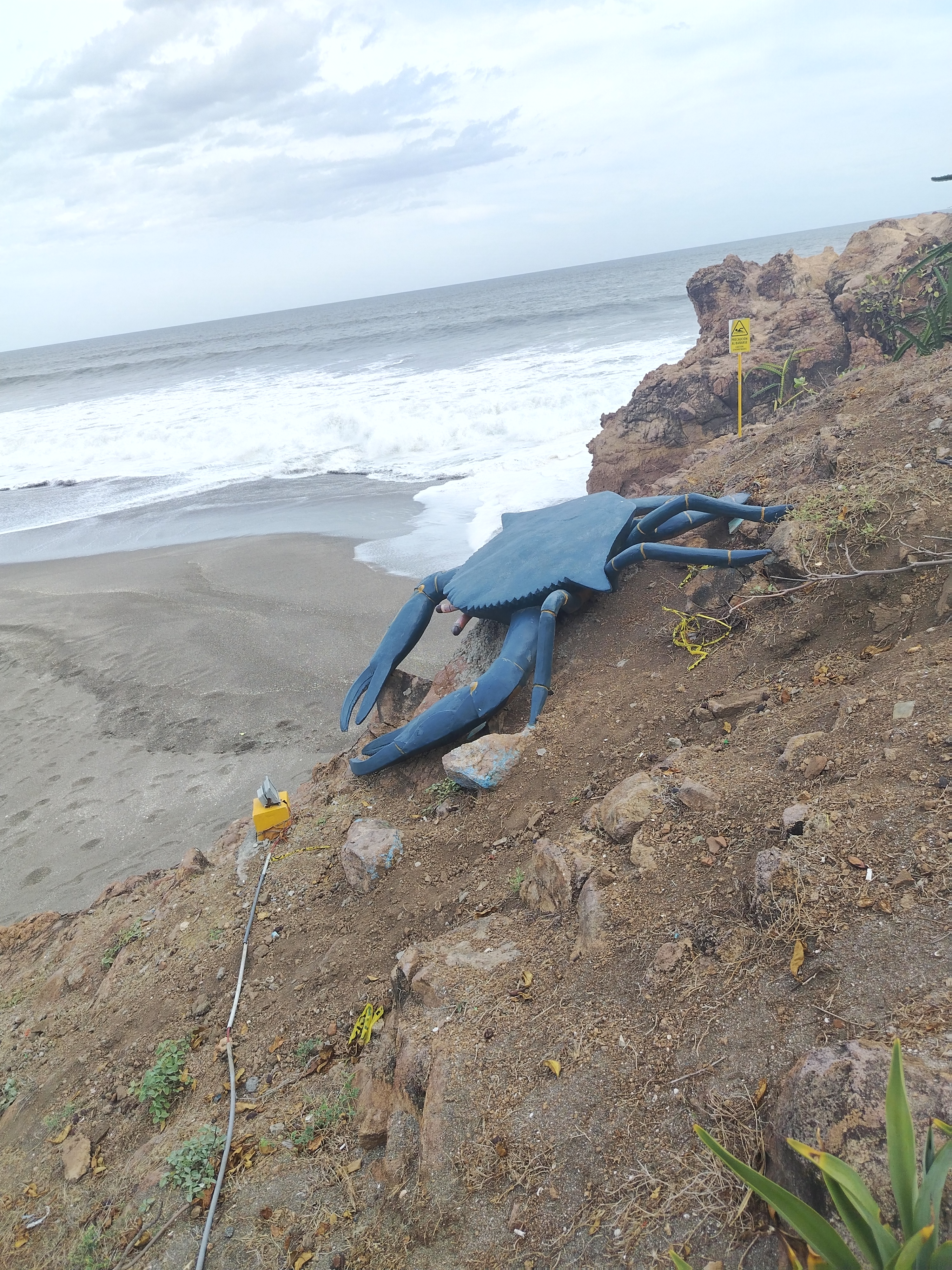 Weed beach California 5159