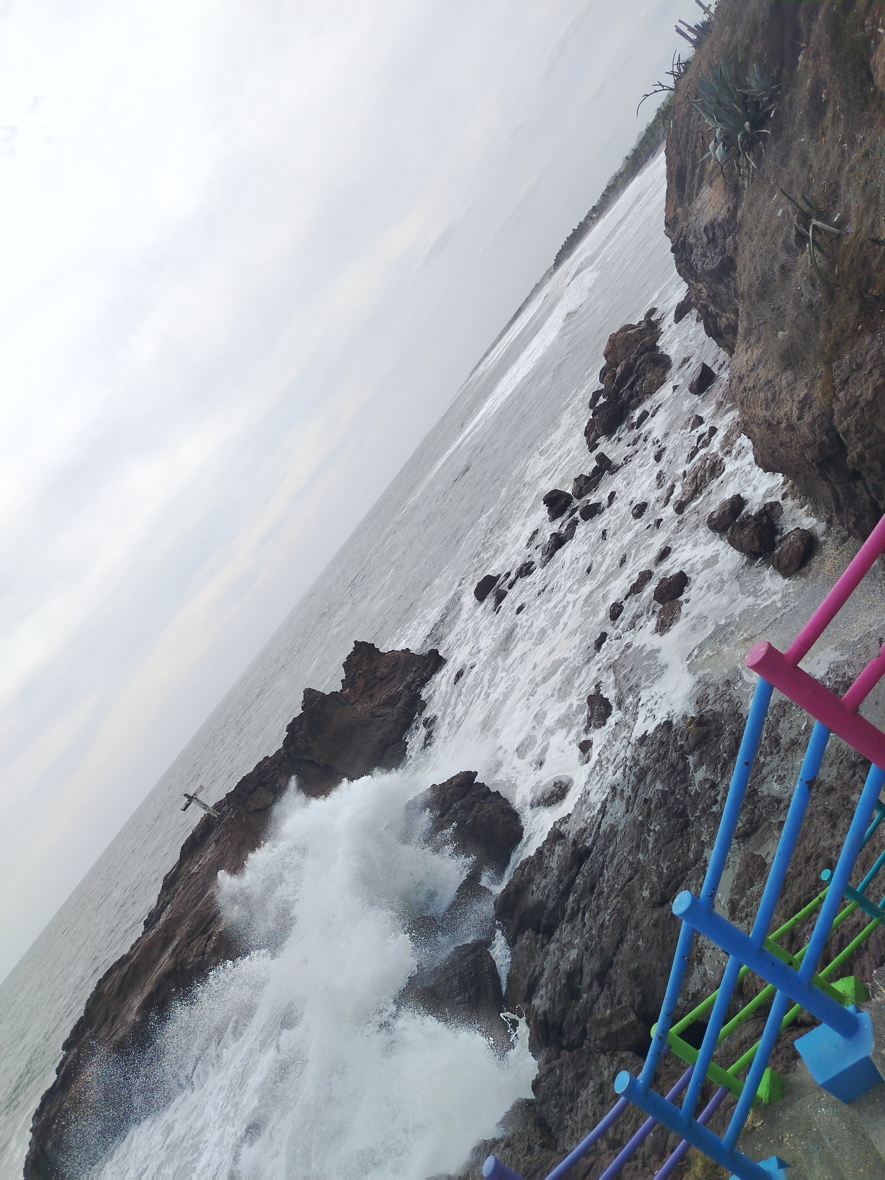 Weed beach California 5161