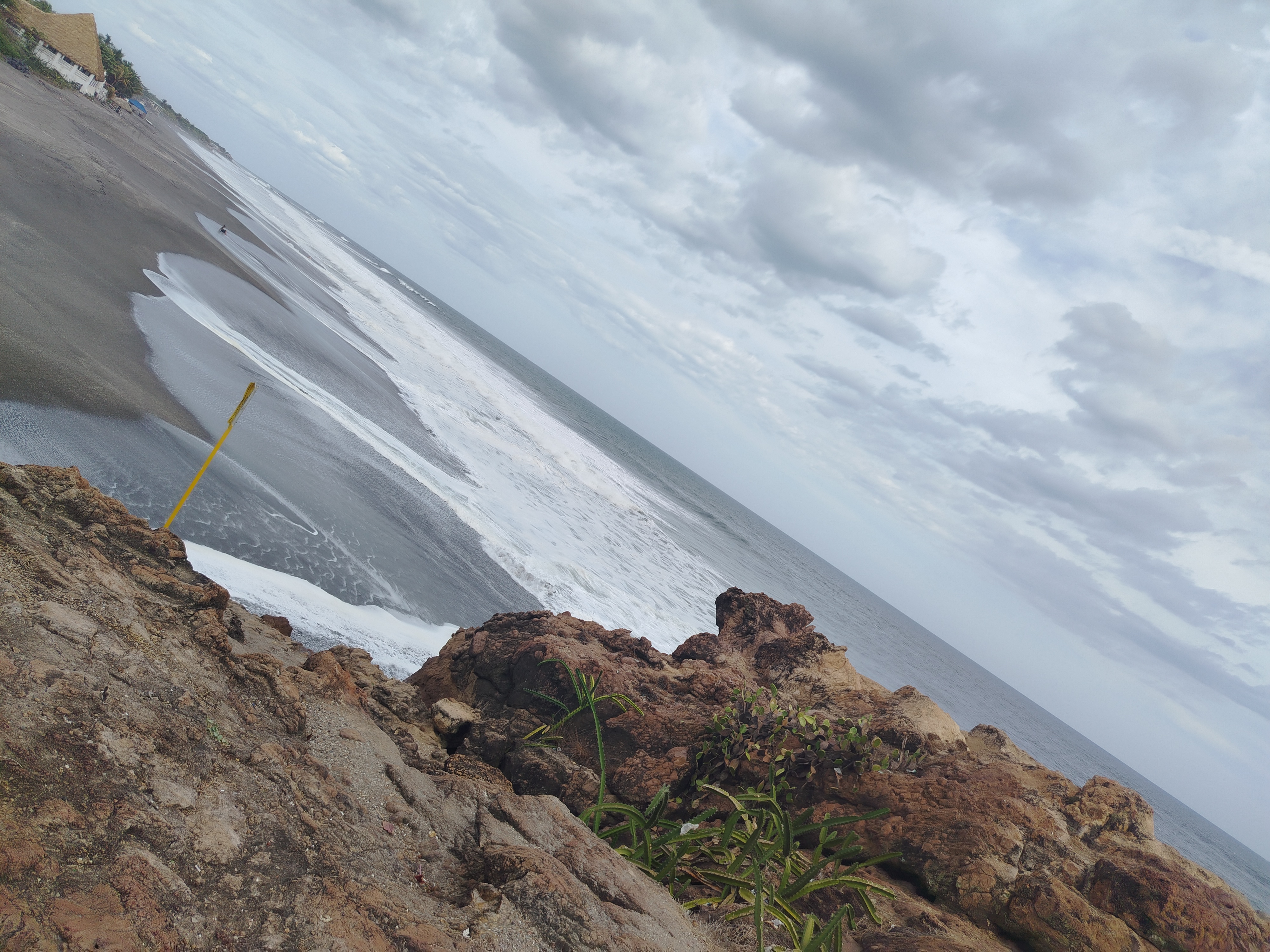 Weed beach California 5160