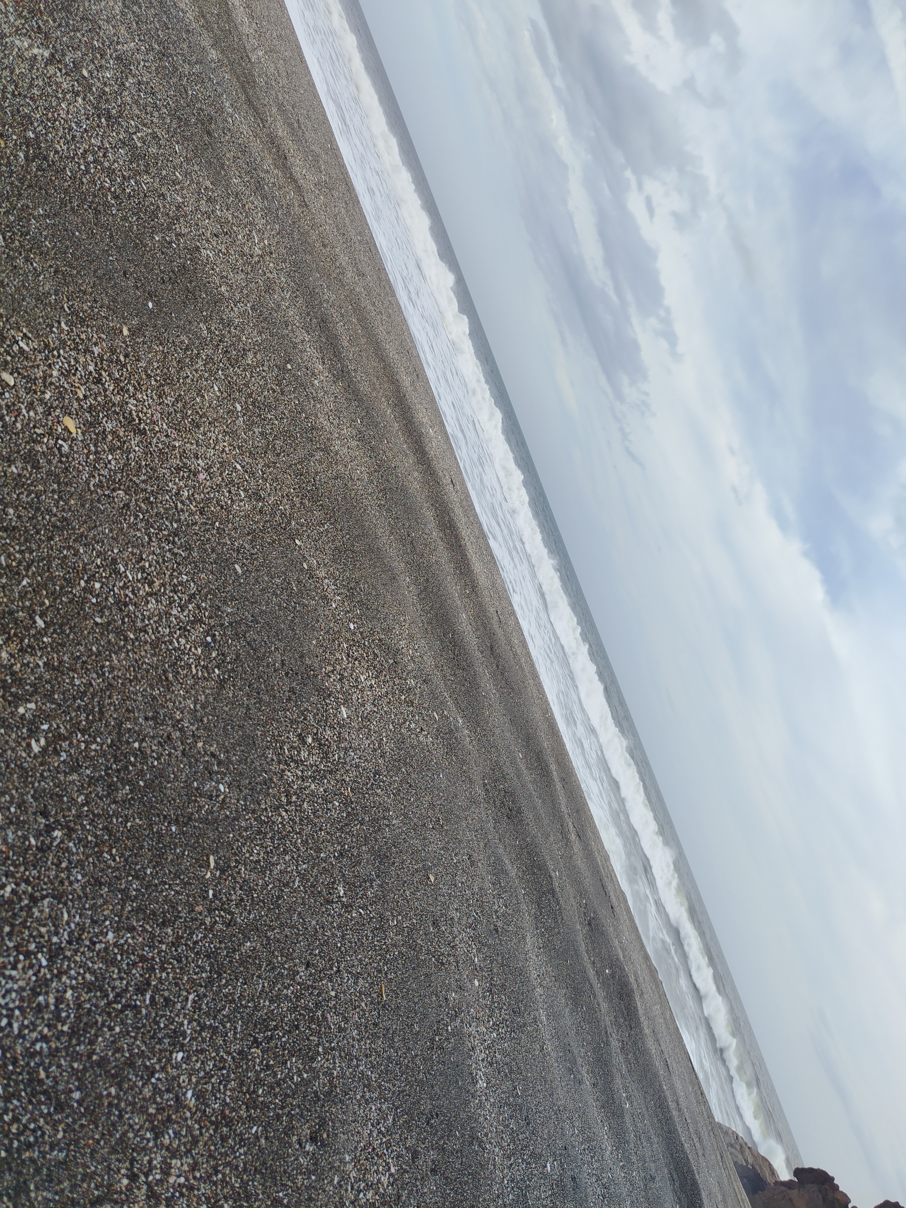 Weed beach California 5157