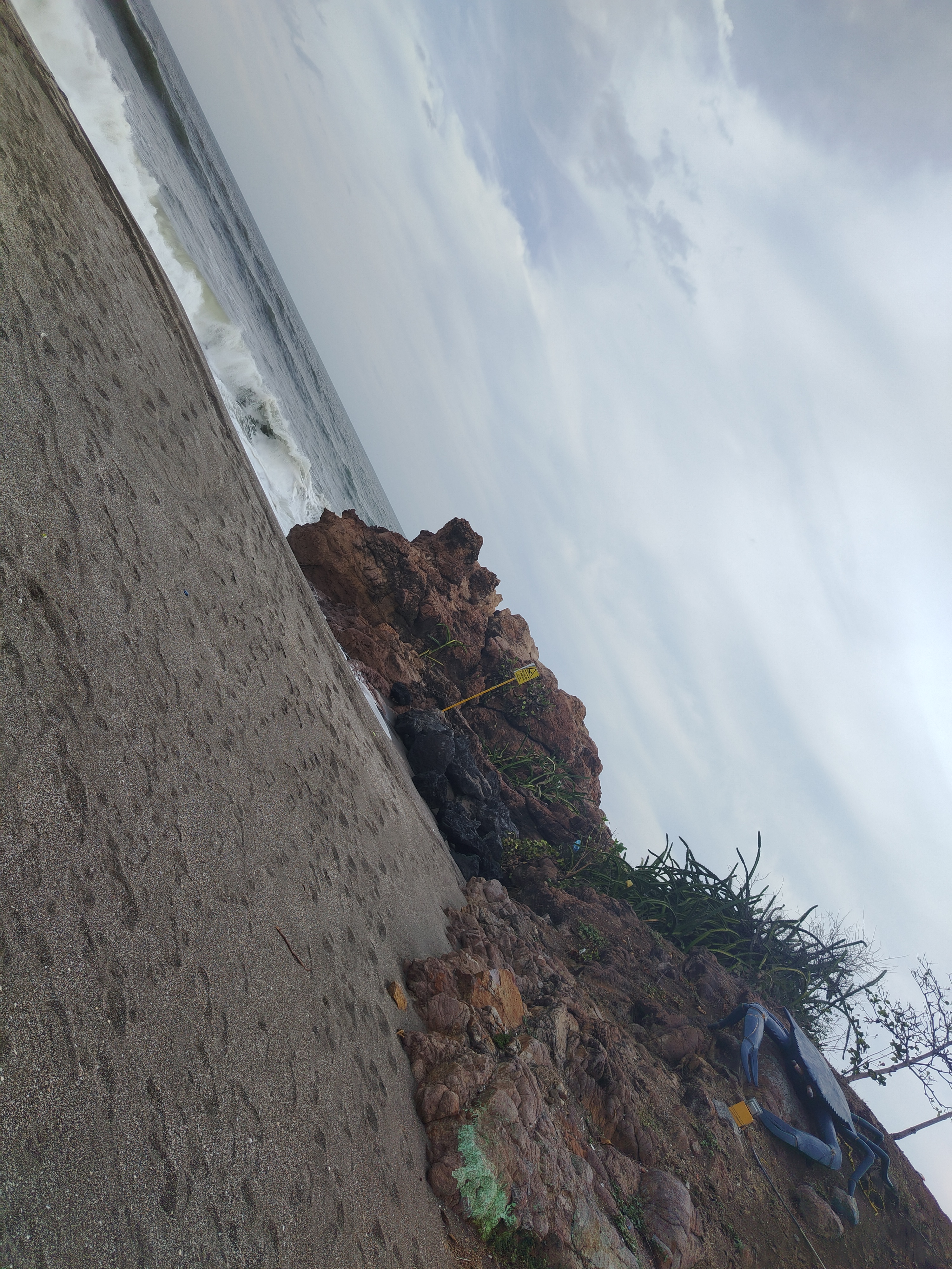 Weed beach California 5156