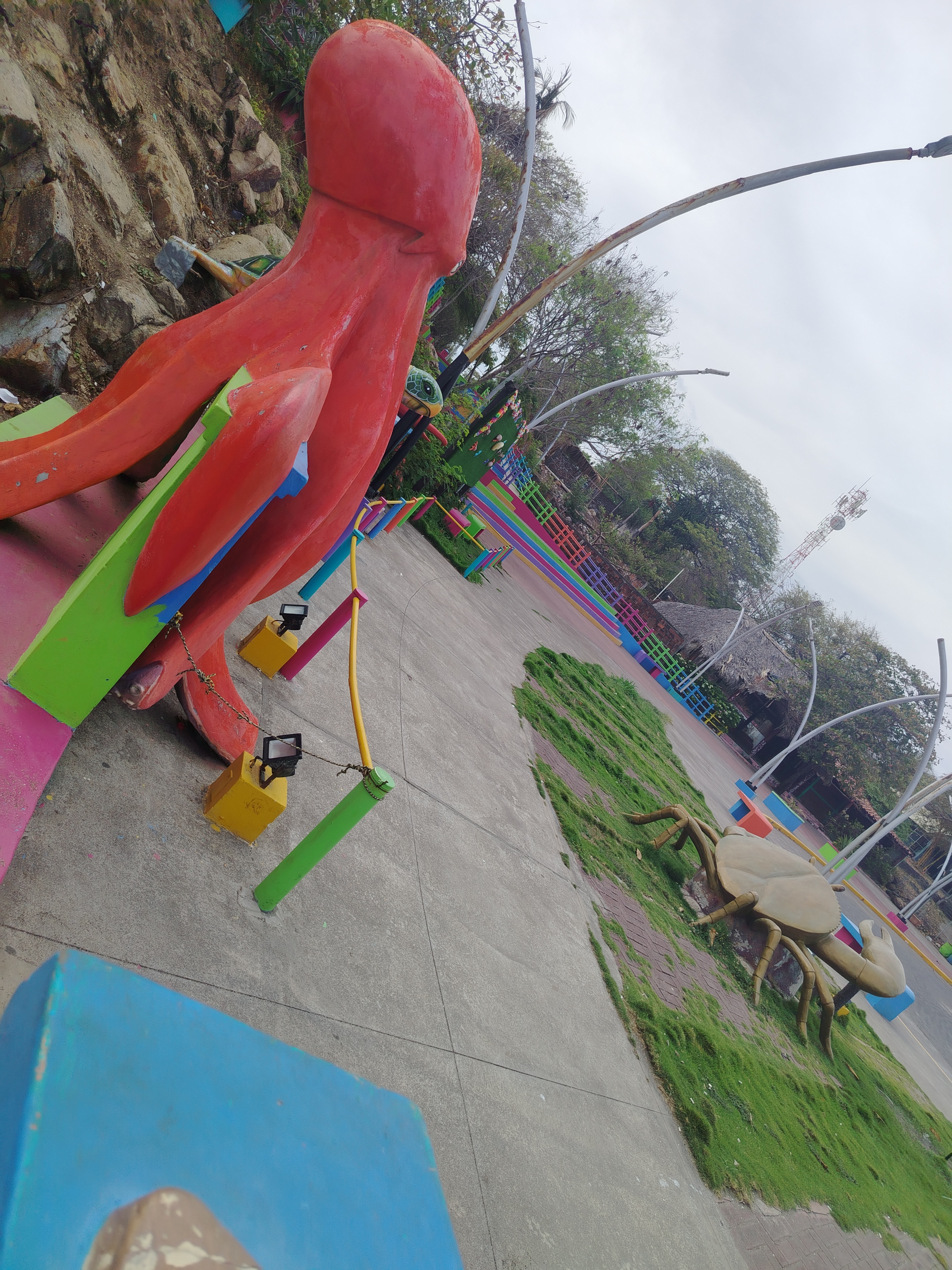 Weed beach California 5154