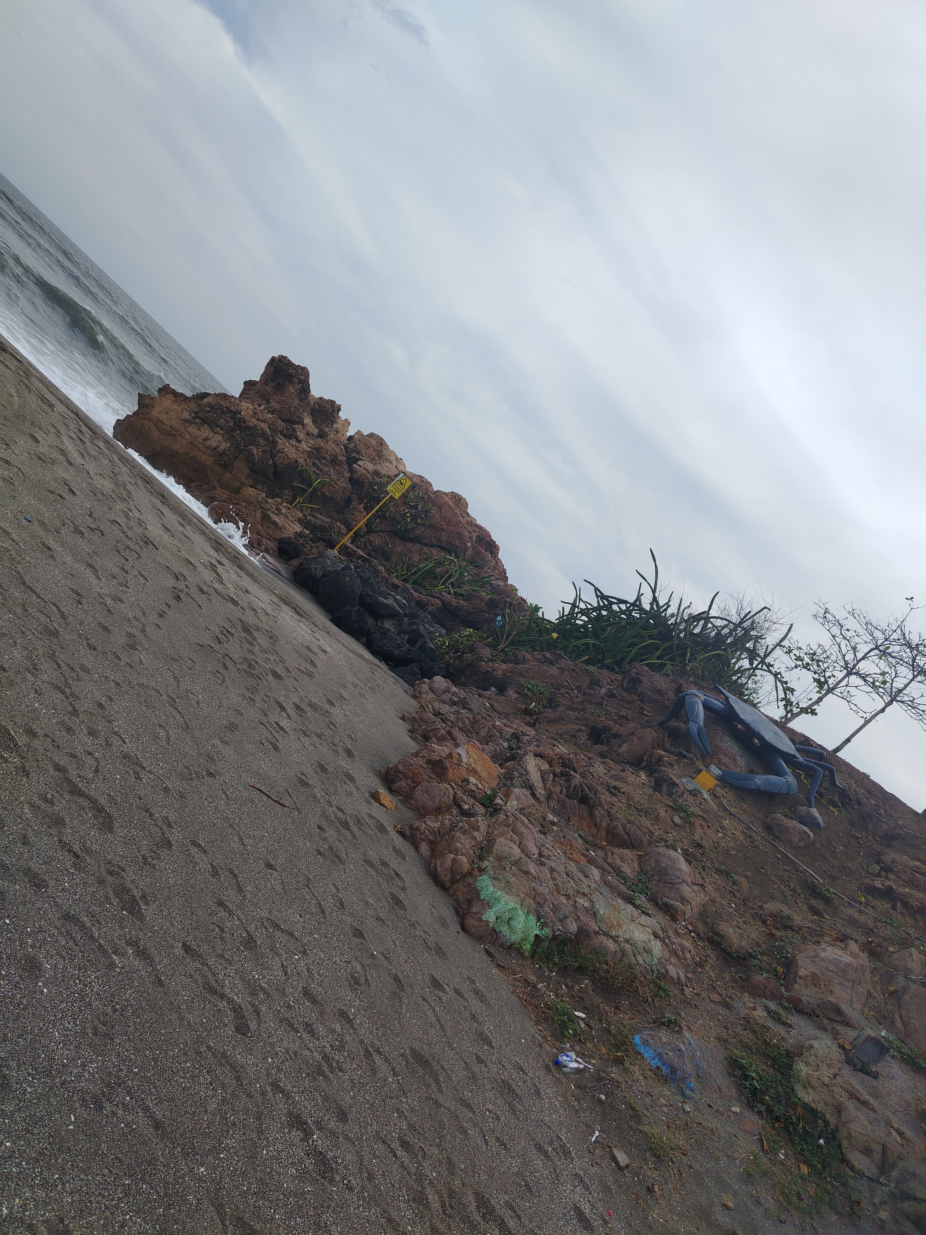 Weed beach California 5155