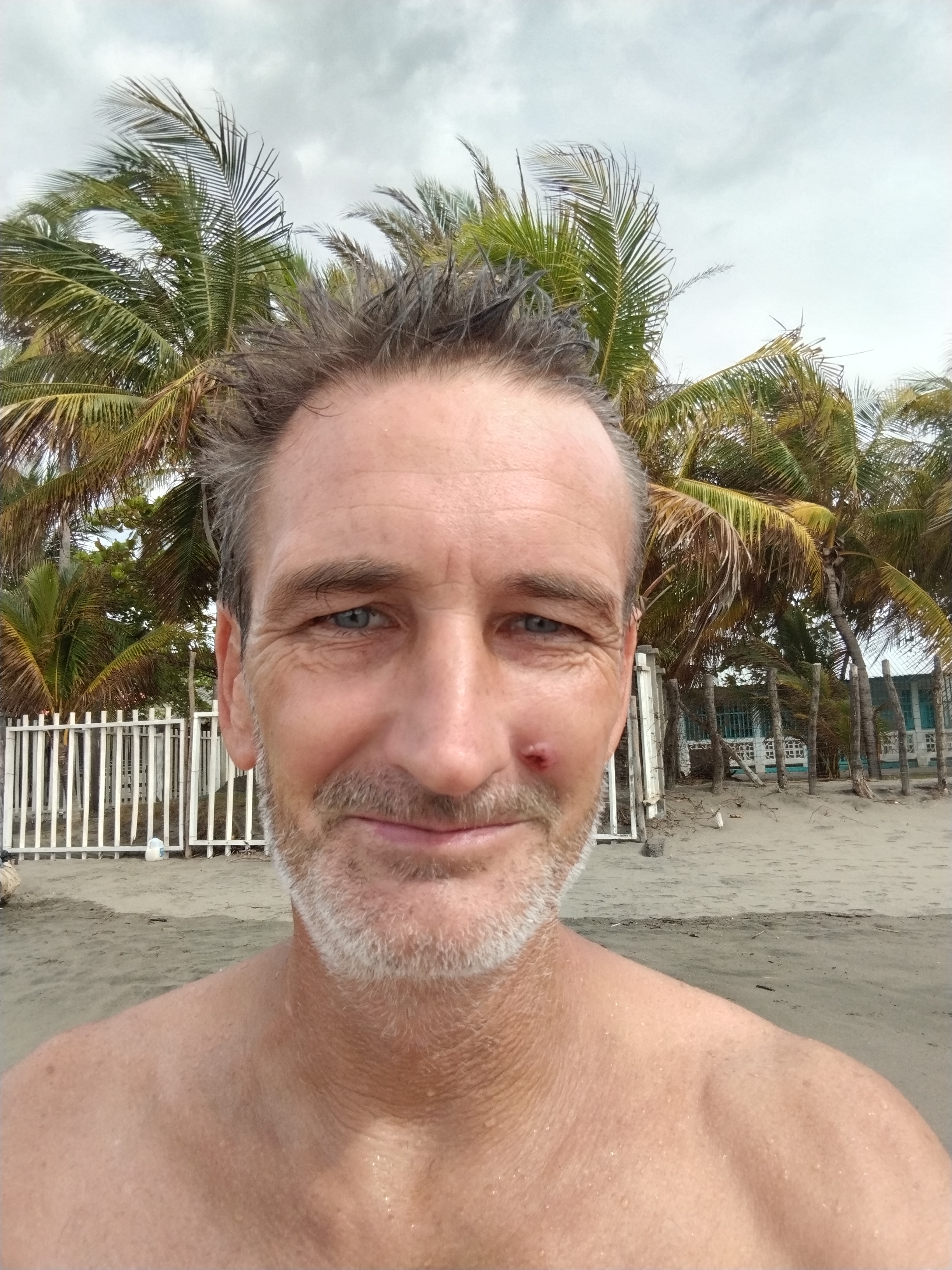 Weed beach California 5148