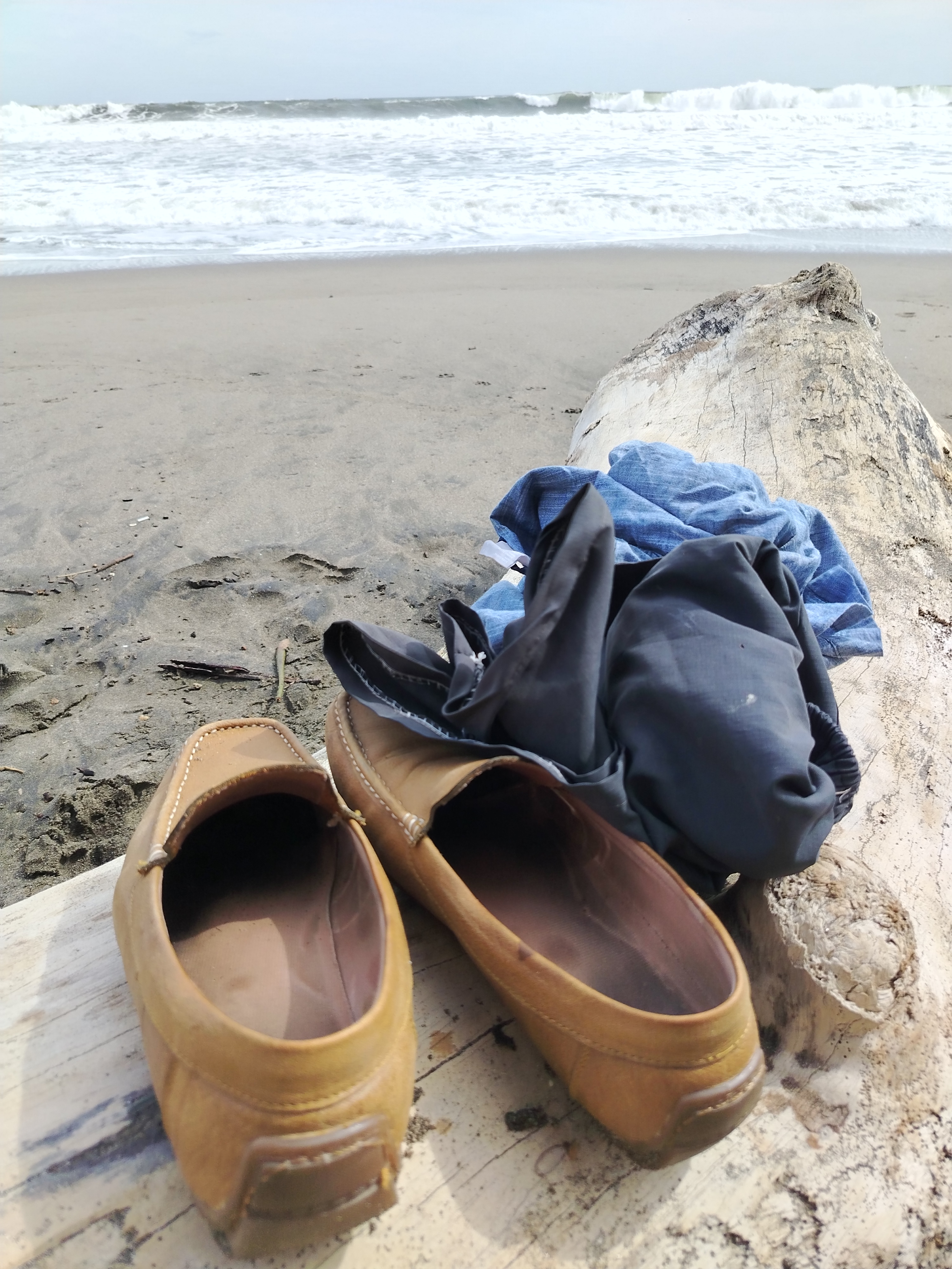 Weed beach California 5138