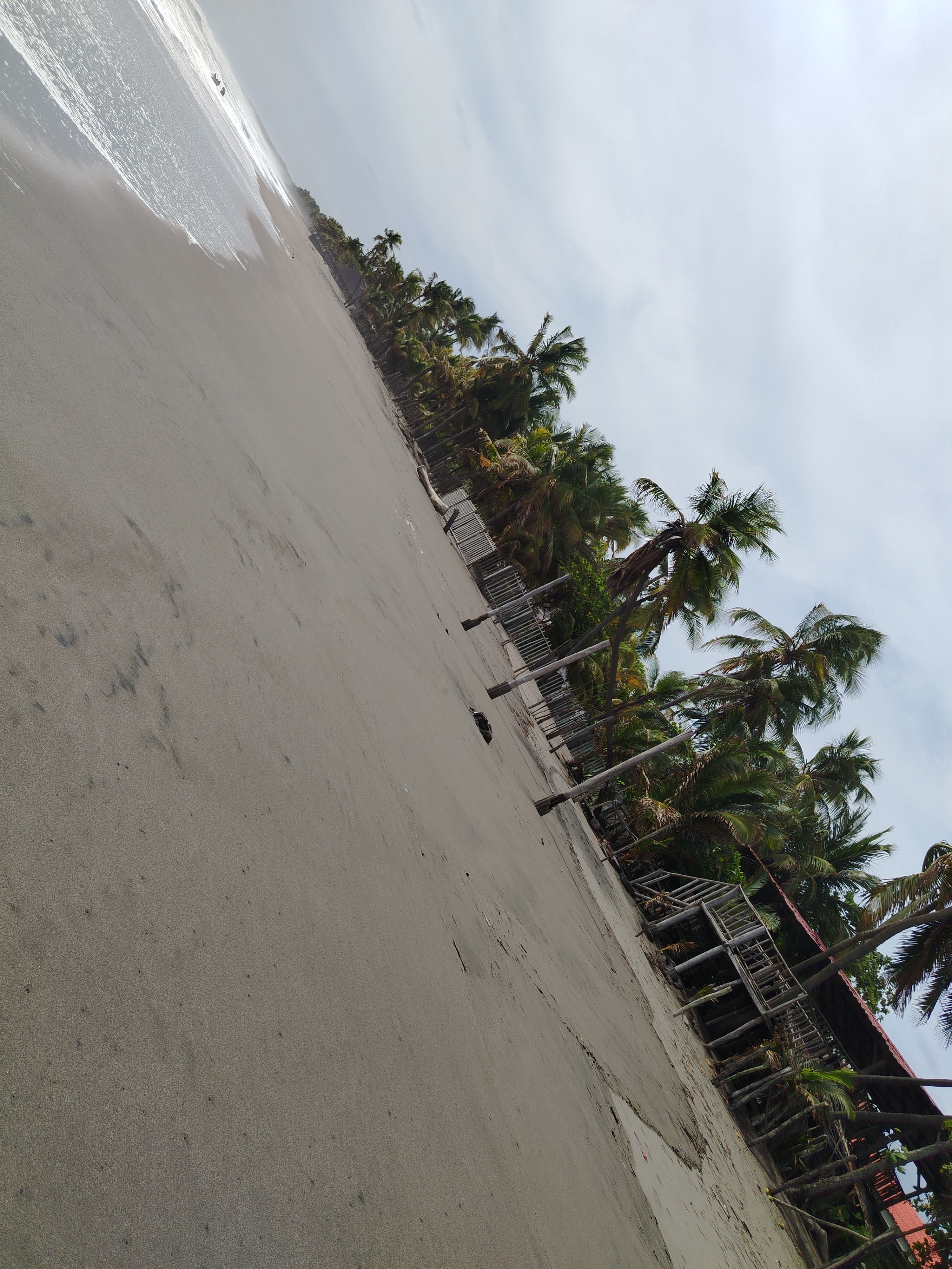 Weed beach California 5132
