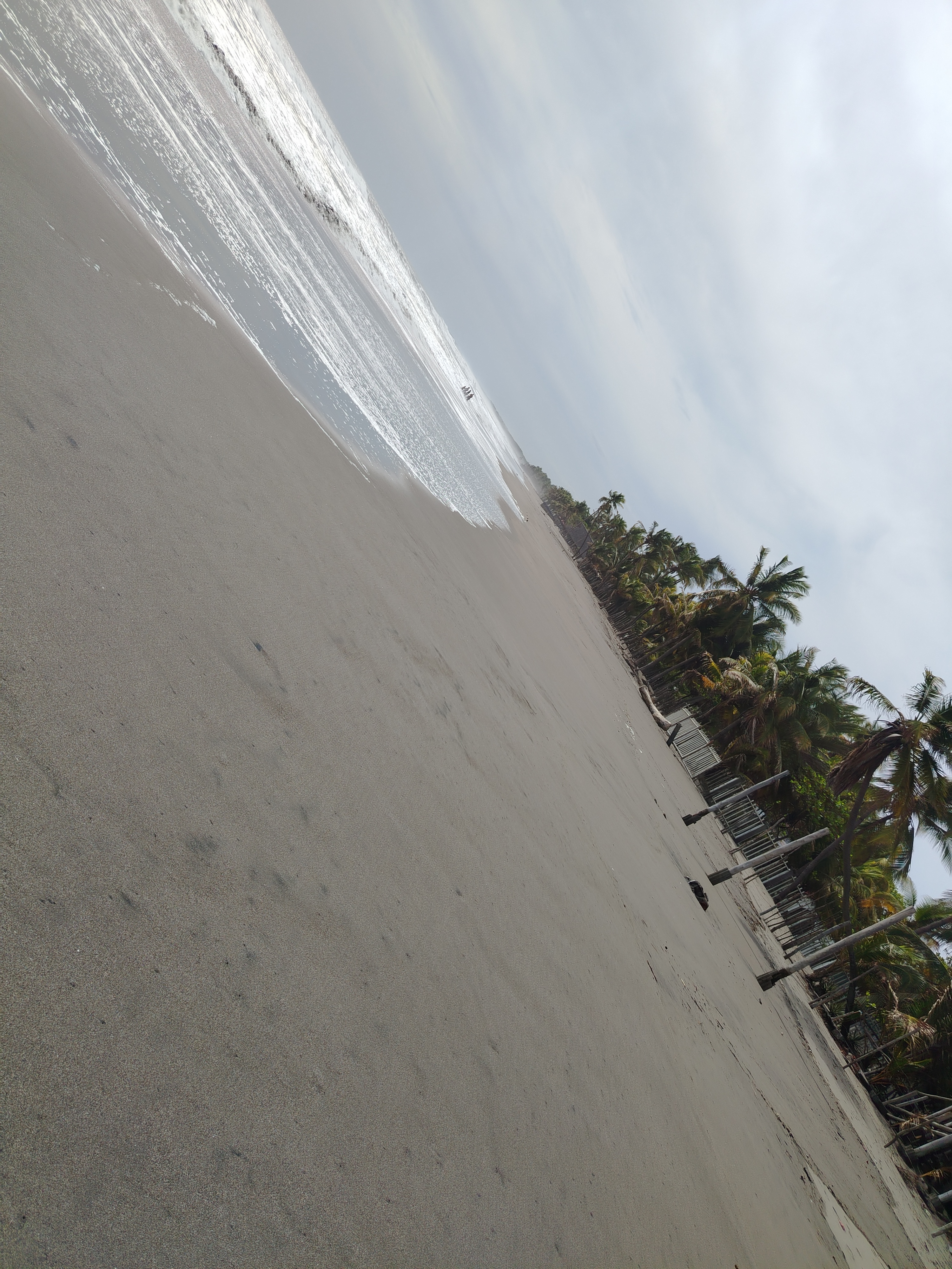 Weed beach California 5130