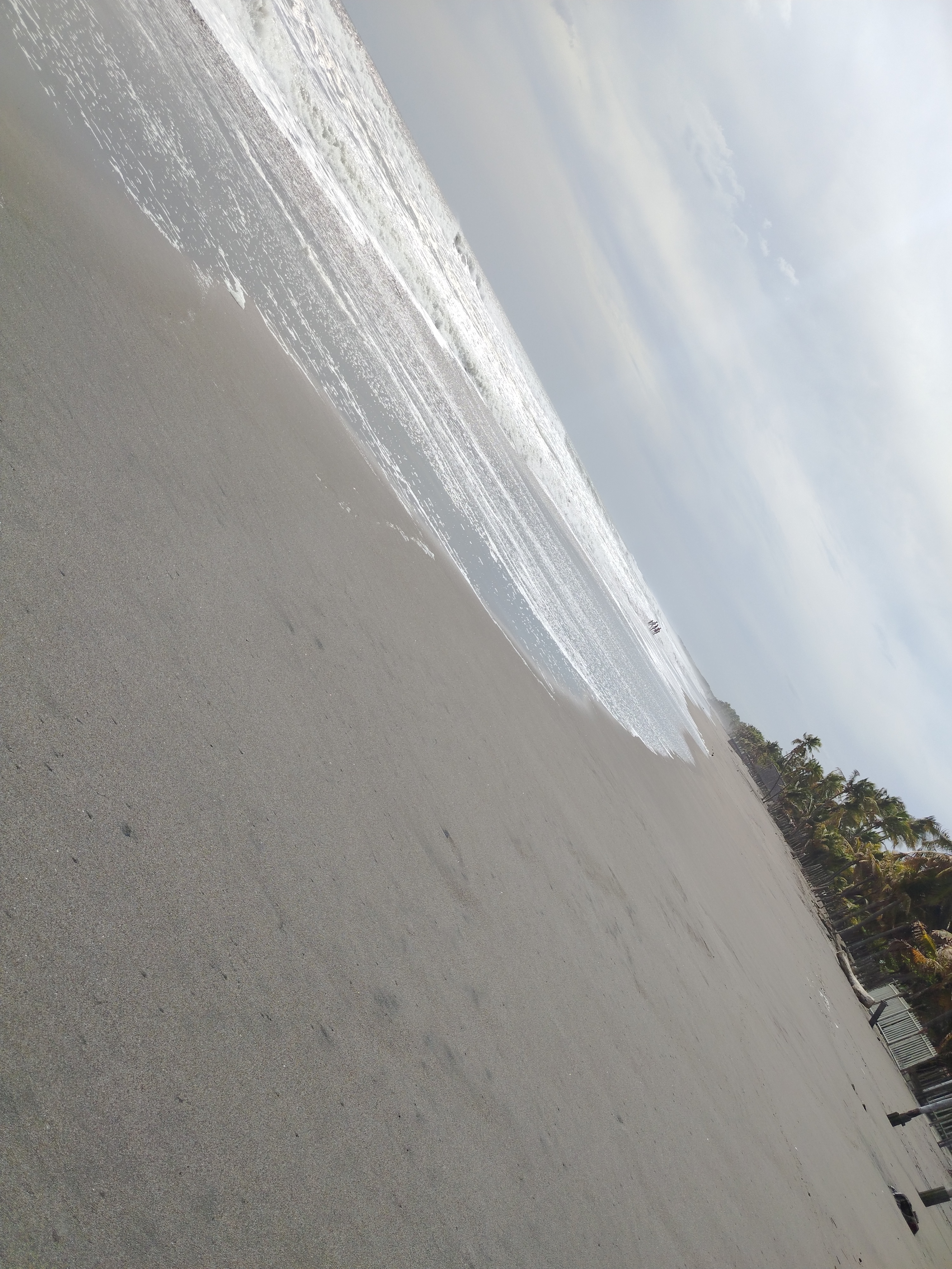 Weed beach California 5129