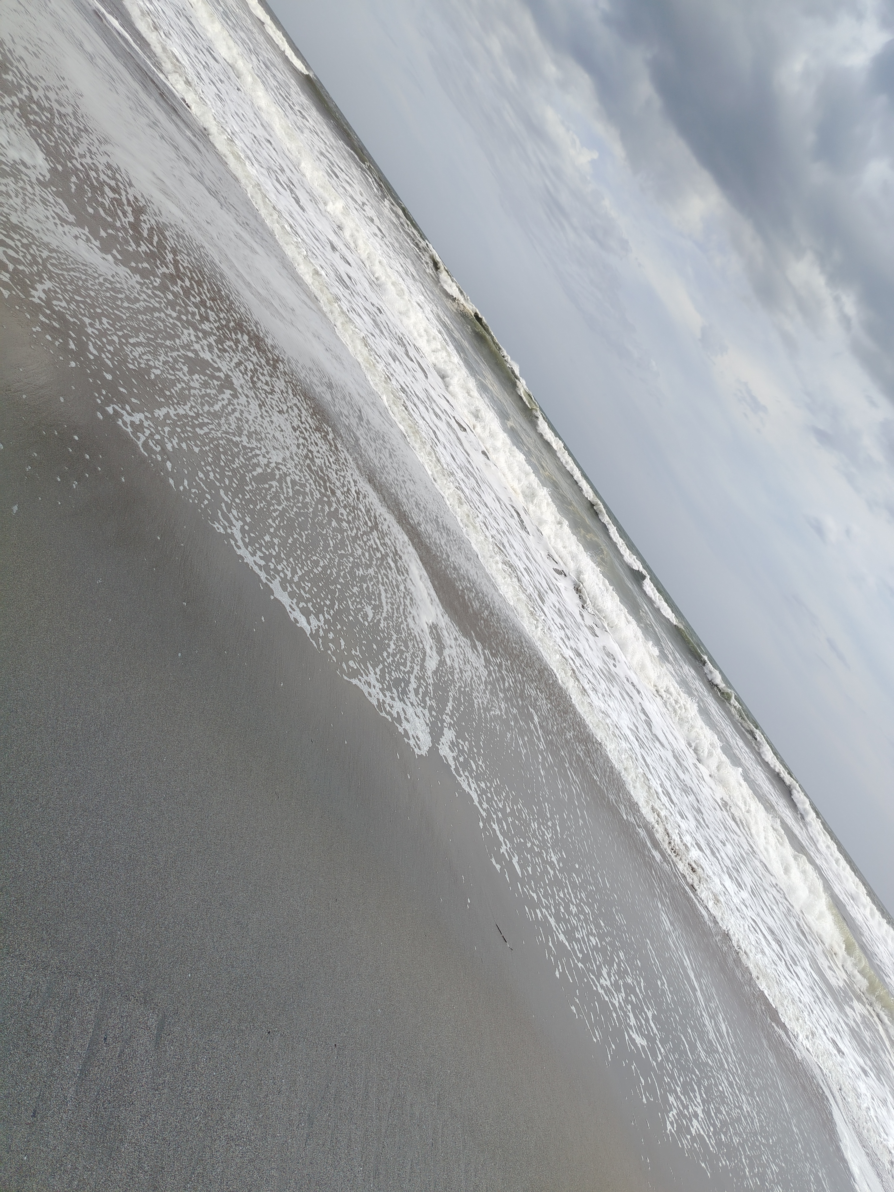 Weed beach California 5127