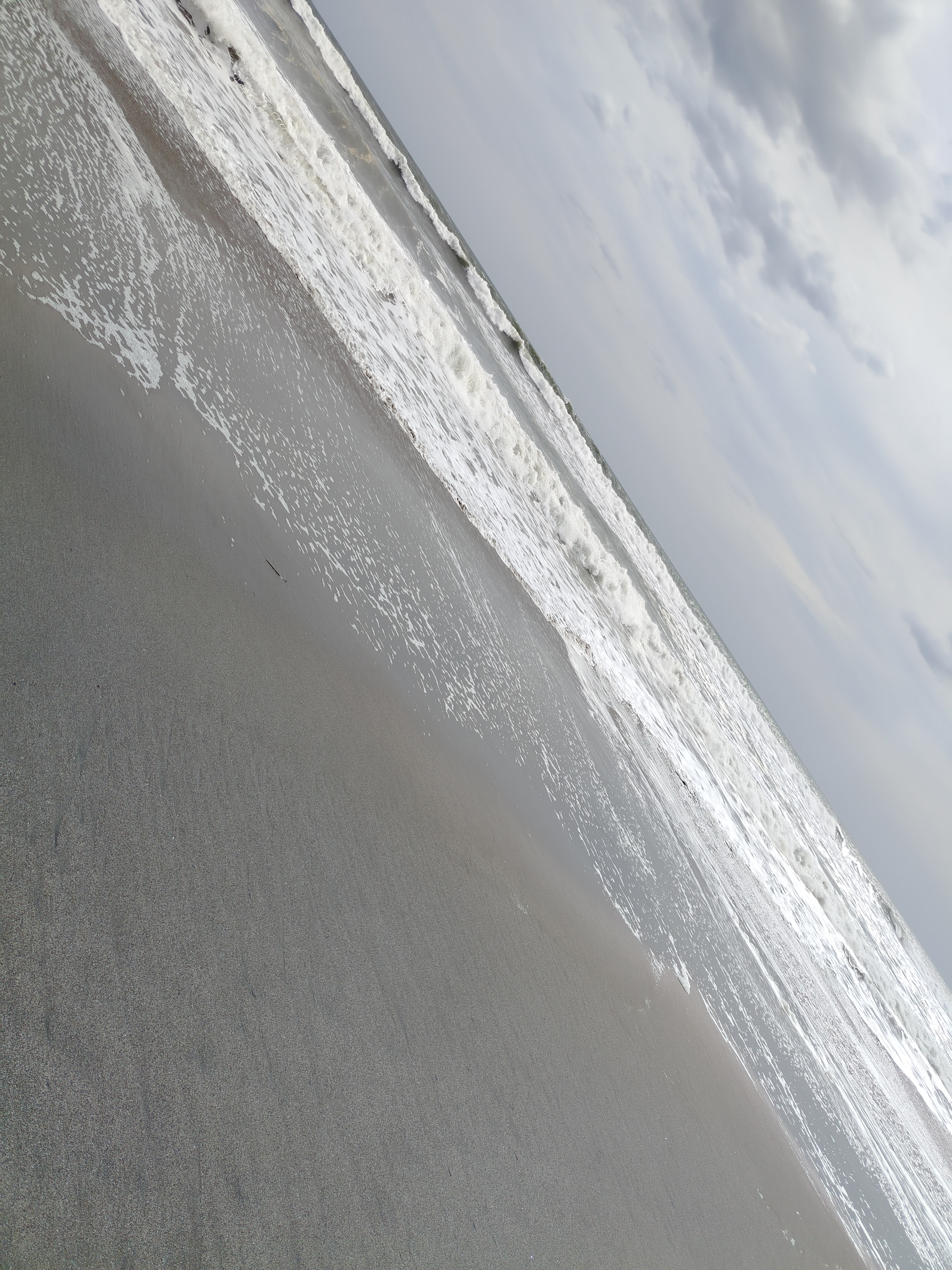 Weed beach California 5128