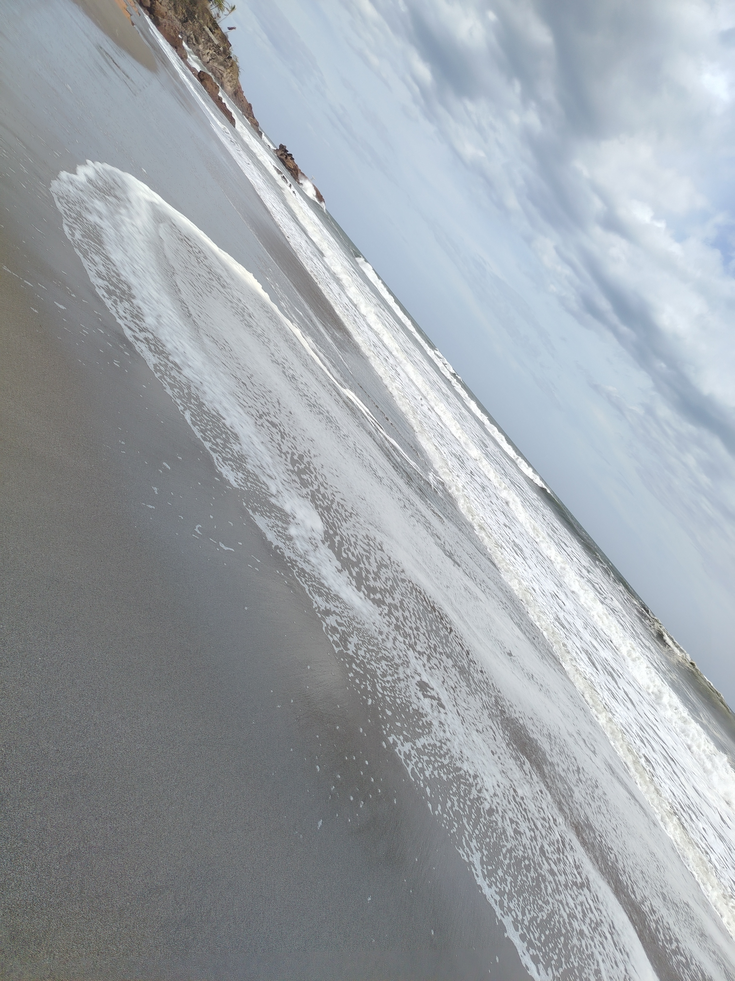 Weed beach California 5126