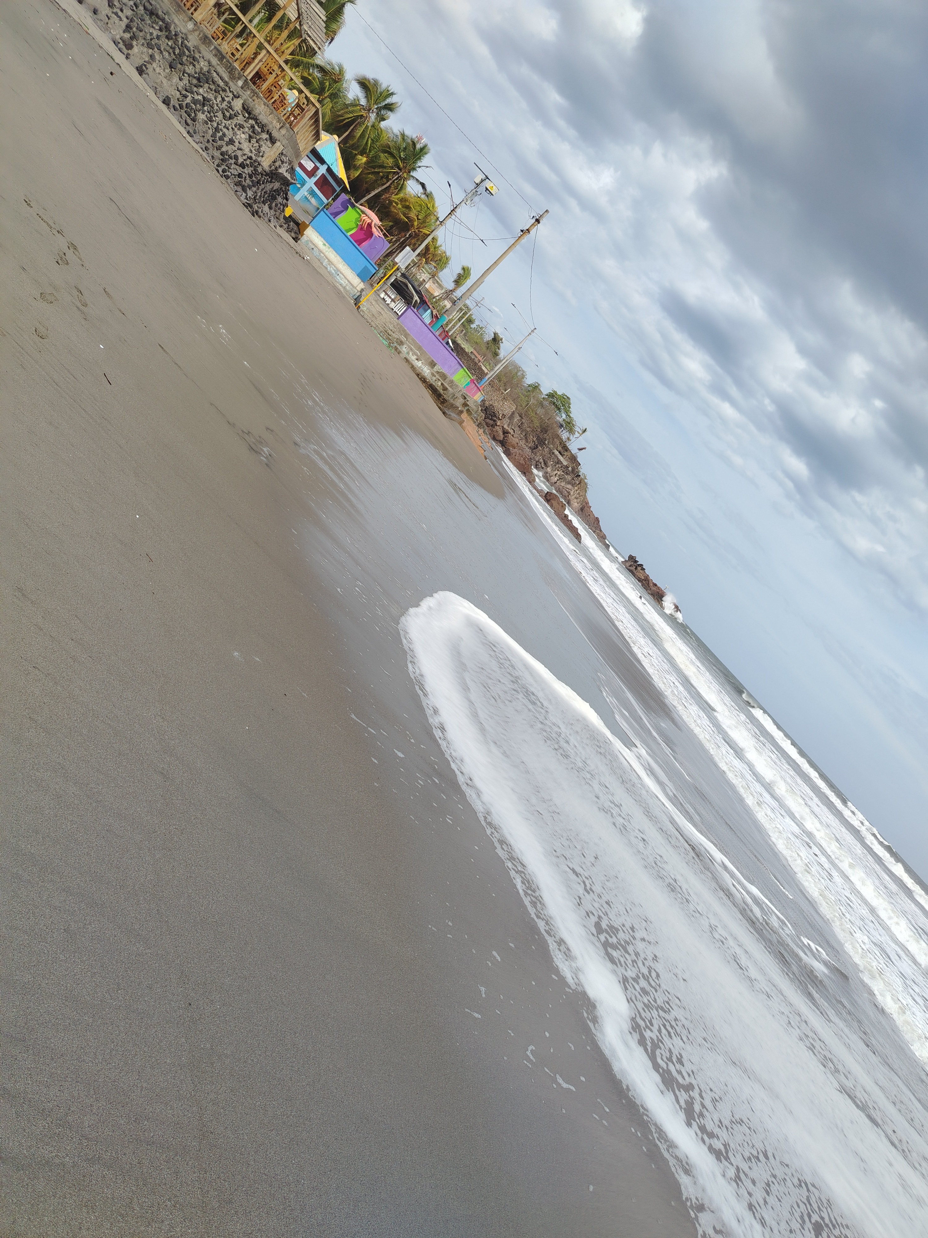 Weed beach California 5125