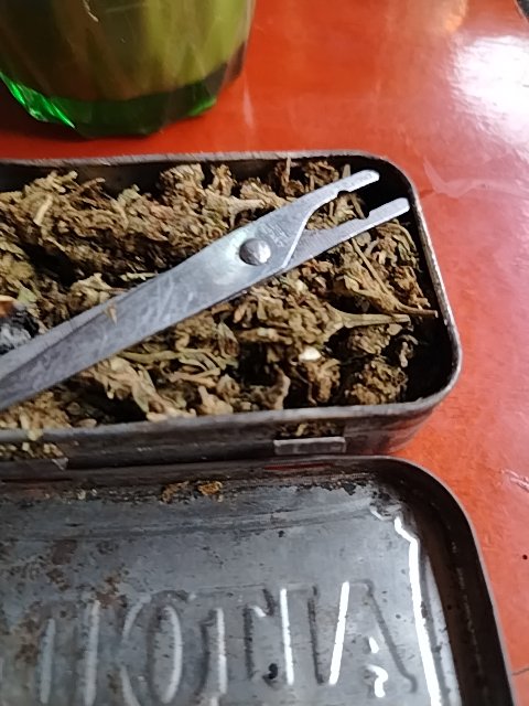 @6/4/2026, 7:32:55 AM - 3ra Calle Nor Este