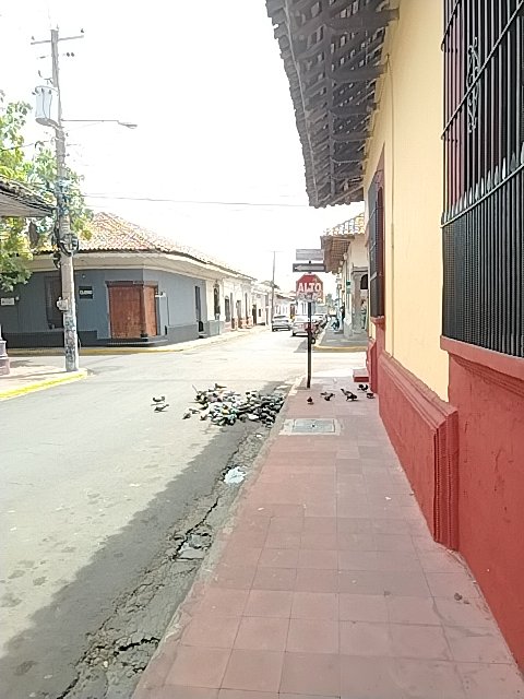 @6/7/2026, 1:27:06 PM - 3ra Calle Nor Este